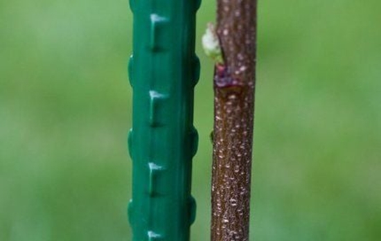 Picture of Tyczka Stalowa Powlekana PE 1,5m x 11mm