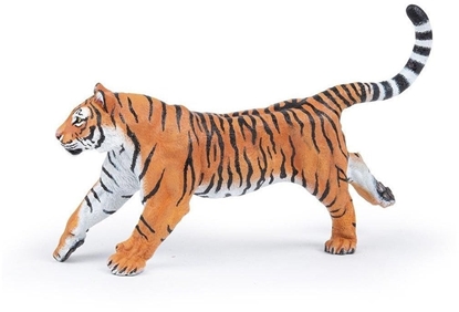 Picture of Tygrys biegncy