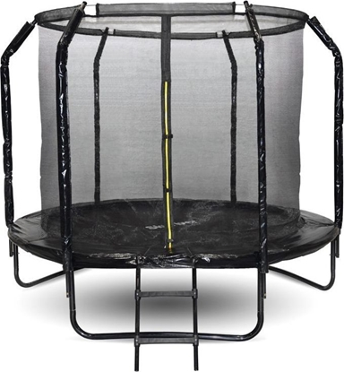 Attēls no Trampolina ogrodowa SkyFlyer TR0033 z siatk wewntrzn 8 FT 244 cm
