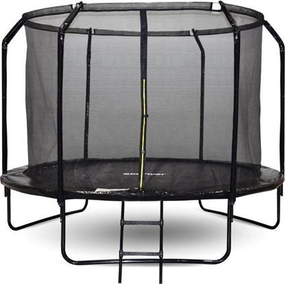 Attēls no Trampolina ogrodowa SkyFlyer TR0034 z siatk wewntrzn 10 FT 304 cm