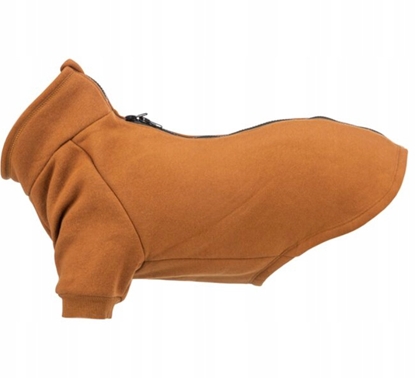 Picture of Trixie CityStyle Amsterdam sweatshirt, XS: 30 cm, rust