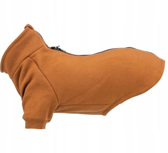 Изображение Trixie CityStyle Amsterdam sweatshirt, XS: 30 cm, rust