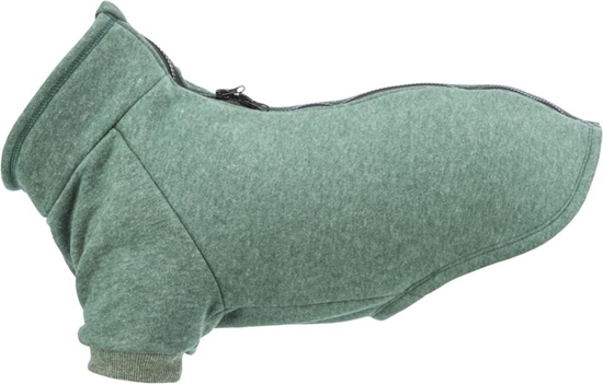 Изображение Trixie CityStyle Amsterdam sweatshirt, XXS: 24 cm, dark green