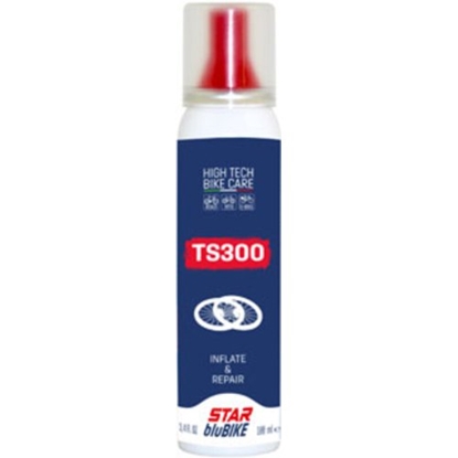 Attēls no TS 300 Inflate & Repair 100ml