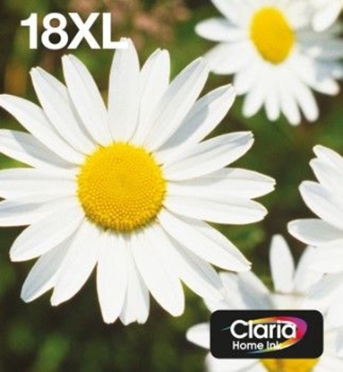 Attēls no Tusz Epson Epson 18XL Multipack XL CMYK (C13T18164511)