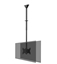 Изображение TV SET ACC CEILING MOUNT DUAL/23-42" CL35-340BL22 NEOMOUNTS
