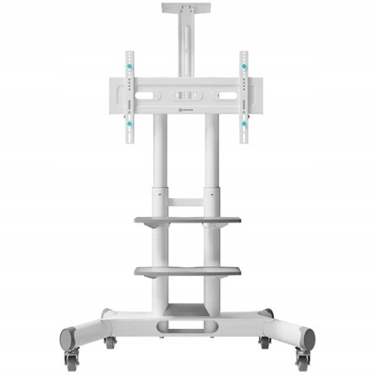 Picture of TV SET ACC MOBILE STAND/40-70"/WHITE TS1552-W ONKRON TS1552-W (4603728441016)