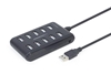 Picture of USB centrmezgls Gembird USB 2.0 10-port Black
