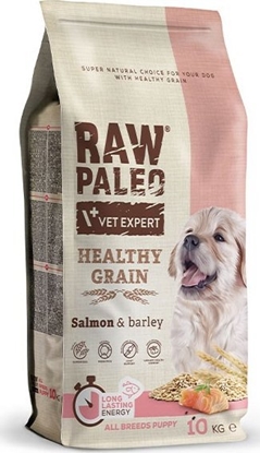 Picture of VetExpert VetExpert Raw Paleo Healthy Grain Salmon&Barley Puppy - Karma sucha dla psów - 10kg