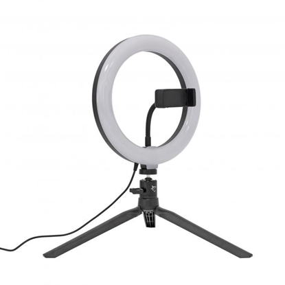 Attēls no White Shark Moonlight RL-08 Ring LED light 20cm