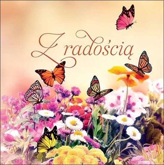 Изображение Z radoci