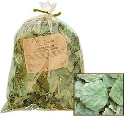 Attēls no Zuzala LI BRZOZY SUSZONY