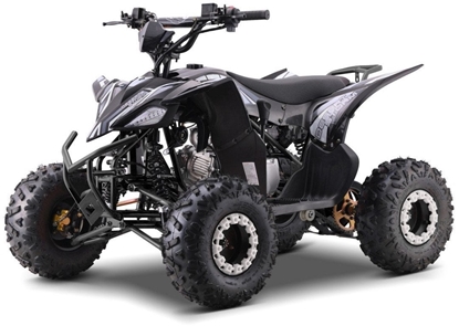 Изображение 1DEA.me Quad spalinowy 125cc DESERT STORM LIFT czarny  mocny, terenowy, z automatyczn skrzyni i zawieszeniem regulowanym