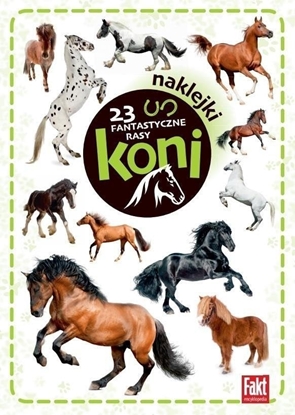 Изображение 23 Fantastyczne rasy koni