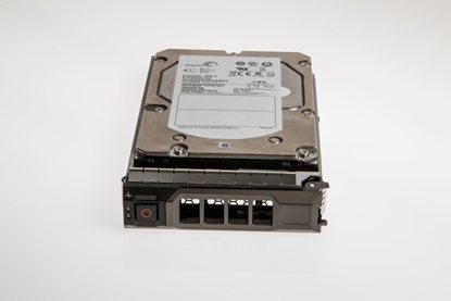 Attēls no 300GB 15K 3.5IN PE 13G SERIES