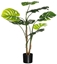 Изображение 4Living Monstera 120 cm