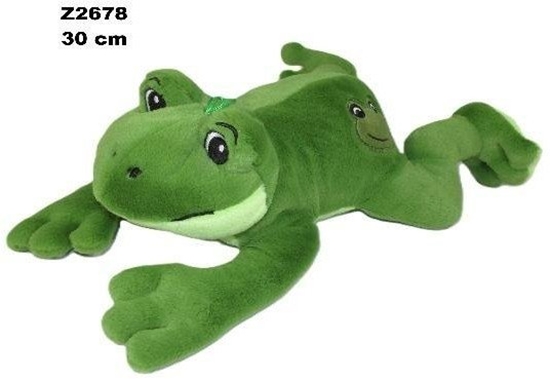 Picture of aba glos 30cm EDUKAMP