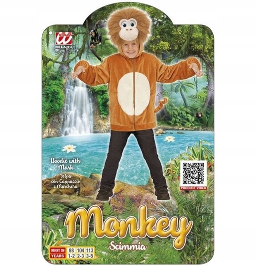 Picture of Abe hoodie