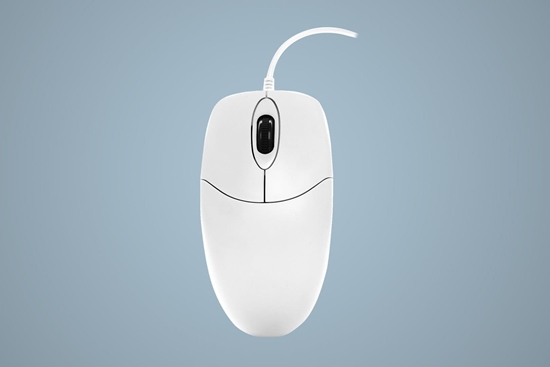 Picture of Active Key AK-PMJ1 myszka Biuro Oburczny USB Typu-A Optyczny 1000 DPI