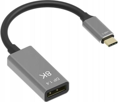 Attēls no Adapter USB Zenwire USB-C - DisplayPort Szary  (0000000308)