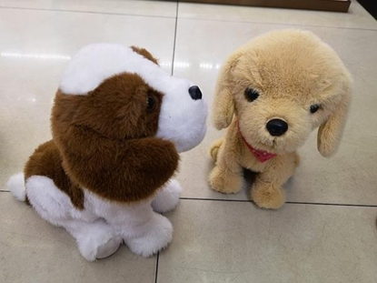 Picture of Adar Piesek 543751 mix 1 szt.