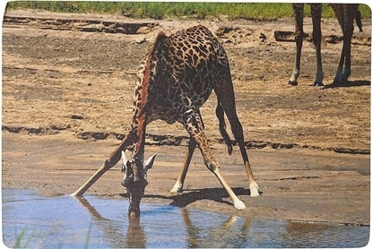 Picture of Adar Podkadka na biurko piankowa yrafa 60x40cm