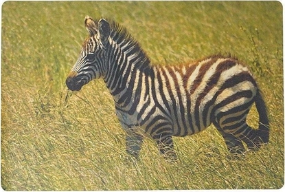 Picture of Adar Podkadka na biurko piankowa zebra 60x40cm