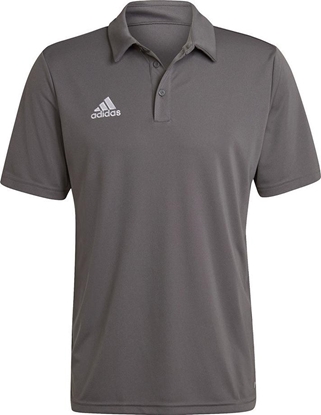 Изображение Adidas Koszulka adidas ENTRADA 22 Polo H57486 H57486 szary XL