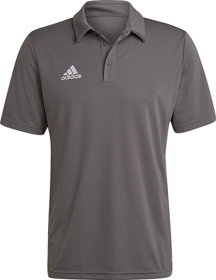Изображение Adidas Koszulka adidas ENTRADA 22 Polo H57486 H57486 szary XL