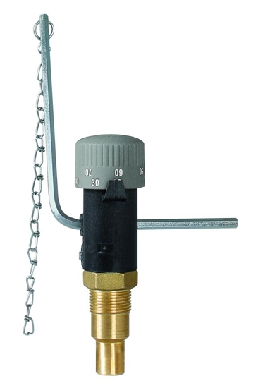 Изображение Afriso Miarkownik cigu FR1 zakres regulacji 30-90°C 3/4" - 42294