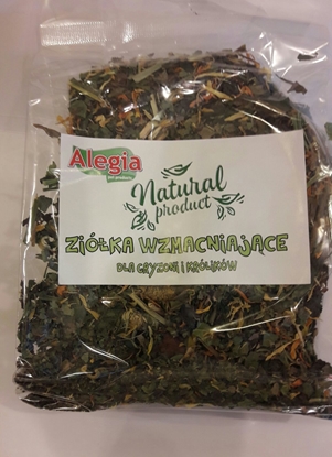 Picture of Alegia Zióka Wzmacniajce 90g