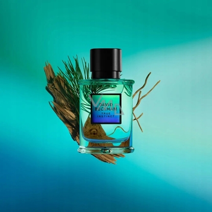 Picture of Alkotest DAVID BECKHAM True Instinct EDP spray 75ml