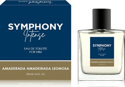 Изображение Alkotest MELODY Symphony Intense Men EDT spray 100ml