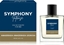 Изображение Alkotest MELODY Symphony Intense Men EDT spray 100ml