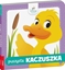 Изображение Ameet Ksieczka Disney Maluch. Puszysta Kaczuszka DBF-9217