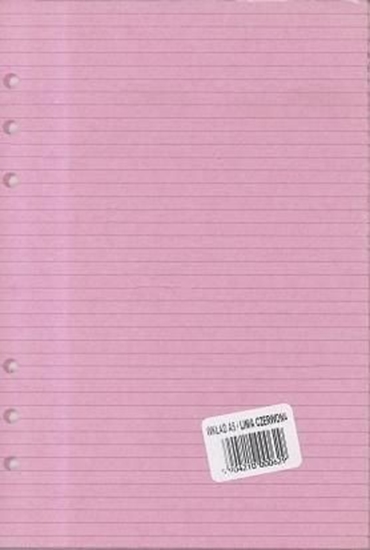 Picture of Antra Wkad do organizera A5 Linia czerwona (270055)