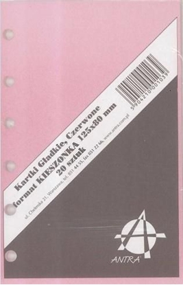 Picture of Antra Wkad do organizera K Czysta czerwona (270076)