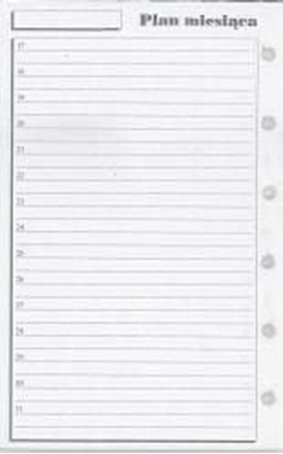 Attēls no Antra Wkad do organizera K Plan miesica (270080)