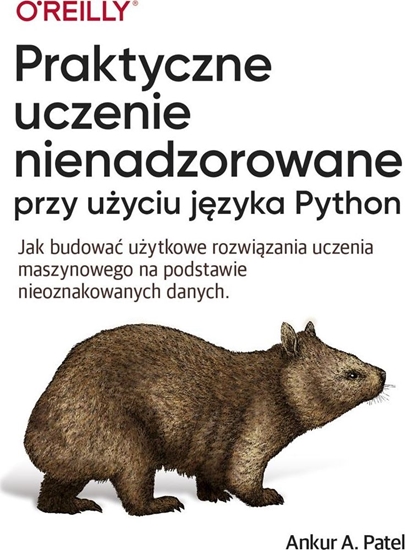 Picture of APN PROMISE Praktyczne uczenie nienadzorowane przy uyciu jzy