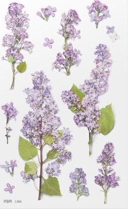 Attēls no Appree Naklejki ozdobne kwiaty Bez Lilak