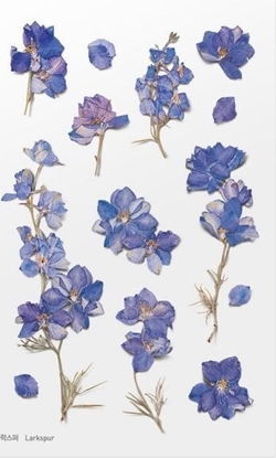 Attēls no Appree Naklejki ozdobne kwiaty Ostróka