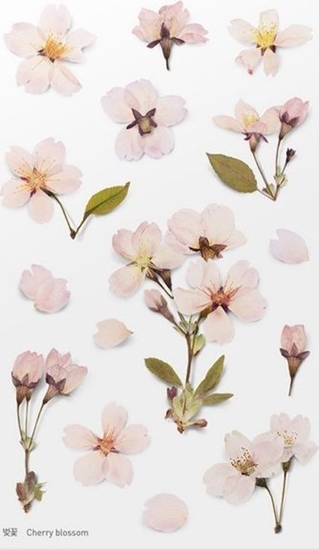 Picture of Appree Naklejki ozdobne kwiaty Wini