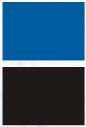 Picture of Aqua Nova TO L 100X50 BLACK/BLUE