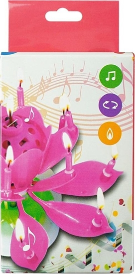 Изображение Arpex wieczka grajco-taczca róowa