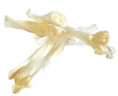 Picture of Artex ARAMI A USZY KRÓLICZE BIAE 100 g