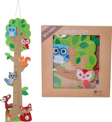 Изображение Askato Drewniana miarka wzrostu