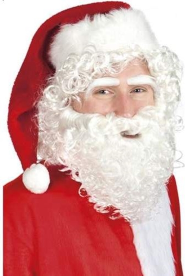 Picture of Aster Peruka wietego Mikoaja, bez brody