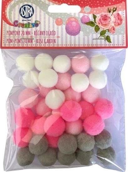 Изображение Astra Pompony dekoracyjne 20mm - Róany ogród ASTRA