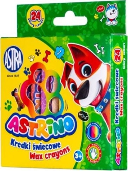 Picture of Astra TARGI Kredki wiecowe Astrino 24 kolory 8mm Astra TARGI