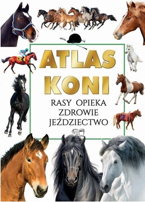 Изображение Atlas koni